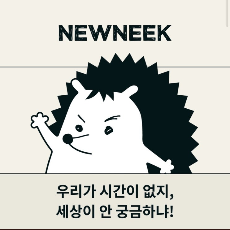  직장인 무료 구독 뉴스레터 추천 (뉴닉,어피티,디그)