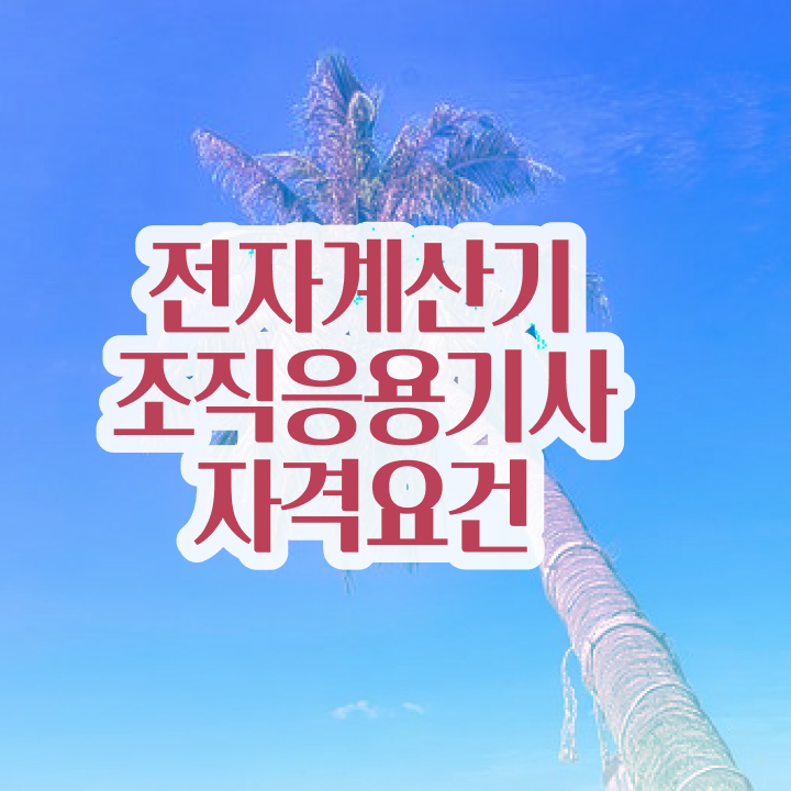  전자계산기조직응용기사 필기 준비물  전자계산기조직응용기사  이것만 확인해요