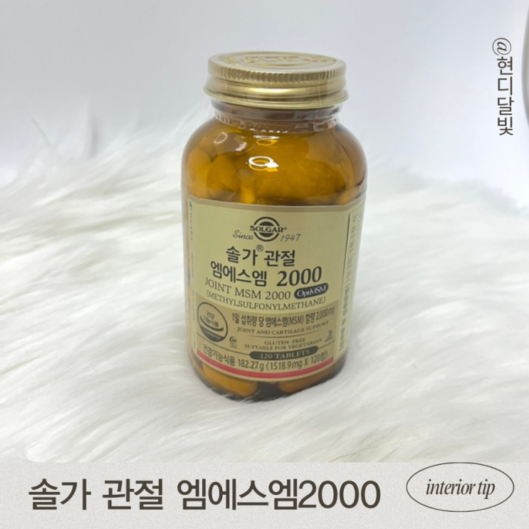 관절엔 MSM 솔가 관절 <b>엠에스엠</b> 2000