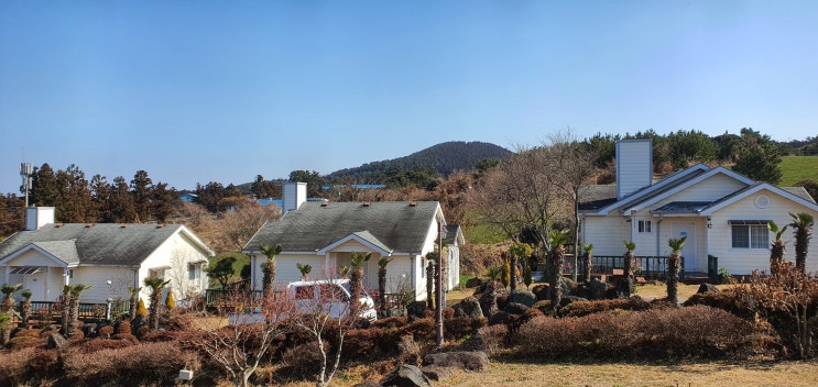  반려동물과 함께한 제주스카이라인휴양펜션 숙박 후기