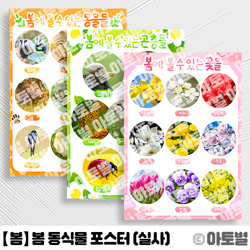  어린이집 봄 환경구성, 봄 동물 사진, 봄꽃 사진, 봄 곤충 사진, 유아벽보, 유아교육포스터, 봄 동물 포스터, 봄꽃 포스터, 봄 곤충 포스터, 봄 동식물 포스터, 봄 동식물 사진
