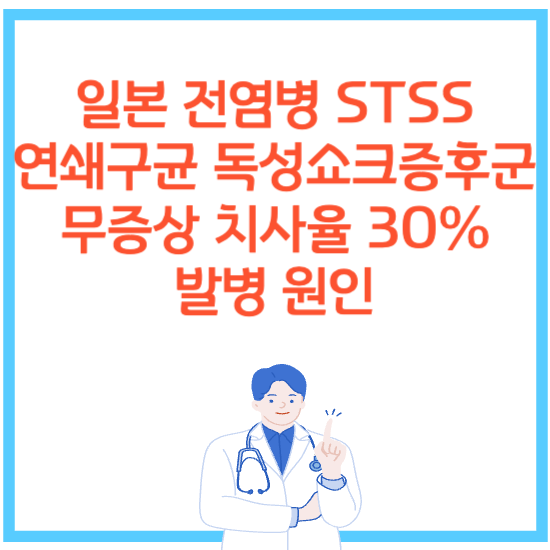 일본 전염병 STSS 연쇄구균 독성쇼크증후군 무증상 치사율 30% 발병 원인