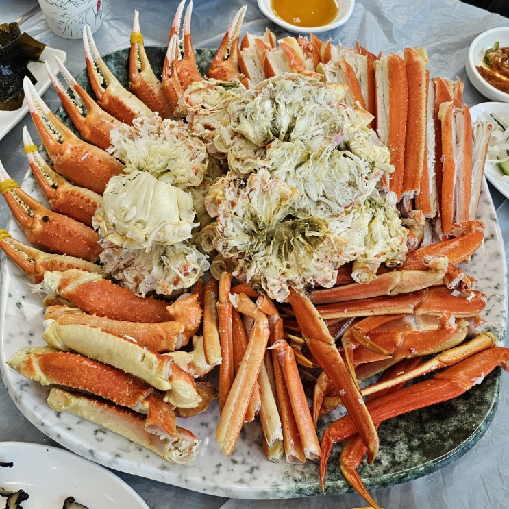  포항 구룡포 유채꽃밭 근처 맛집 손질 다해주는 바다랑대게
