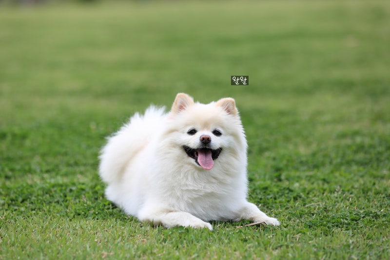 사진 7