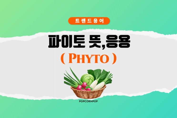  파이토(Phyto) 뜻과 응용 분야 용어까지 알아보기