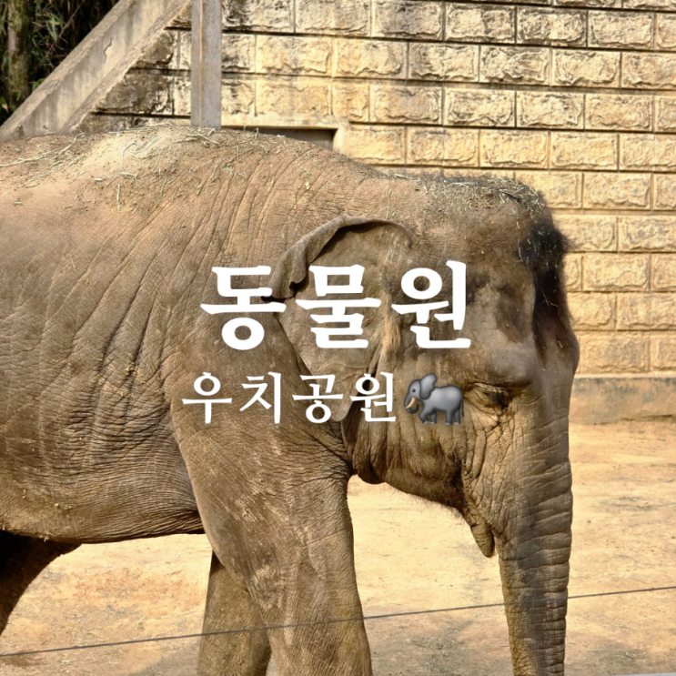  광주 가볼만한 곳 우치공원 입장료 동물원 무료