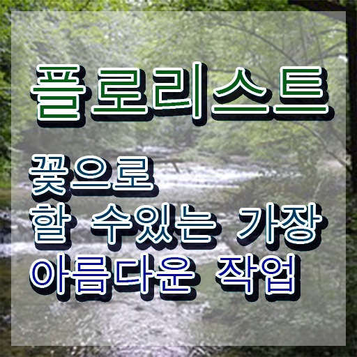  꽃꽂이 물  플로리스트  온라인 교육