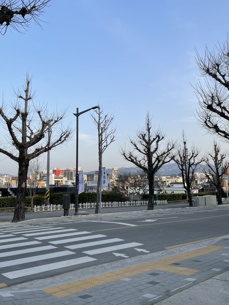 에노떼카오또오또브레 사진 3