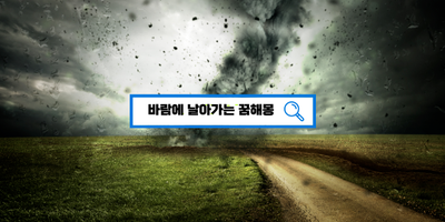  [꿈해몽풀이] 바람꿈해몽 바람에날아가는꿈해몽 거센바람꿈 상황별 꿈해몽