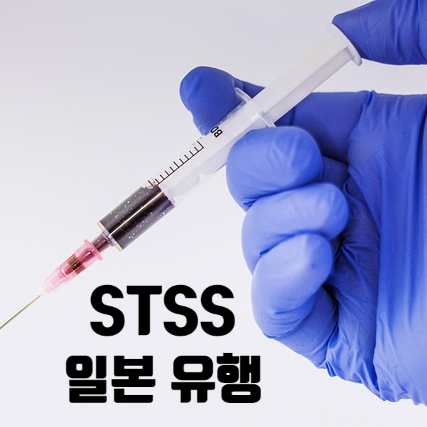  주의! STSS 일본 유행, 증상 및 감염경로