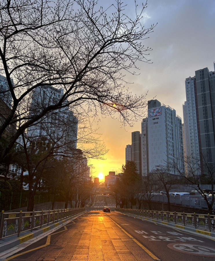  아침 일찍 일어나 일출보고 해설하는 볼 빵빵 김바닐라씨