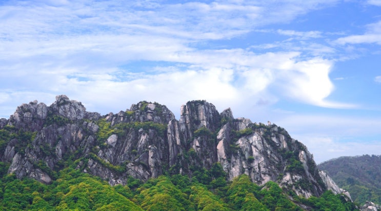  경신일주(庚申日柱) 남자 여자 특성