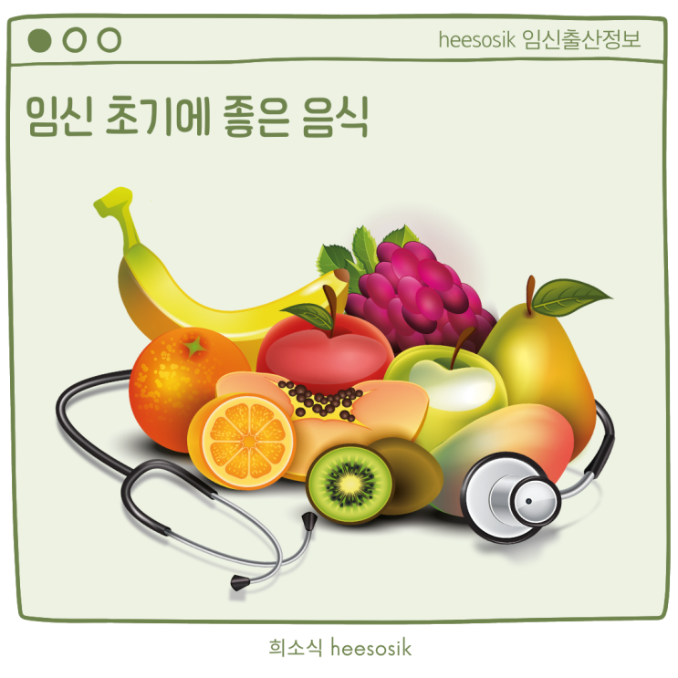  모르면 손해 보는 임신 초기에 좋은 음식 best 5