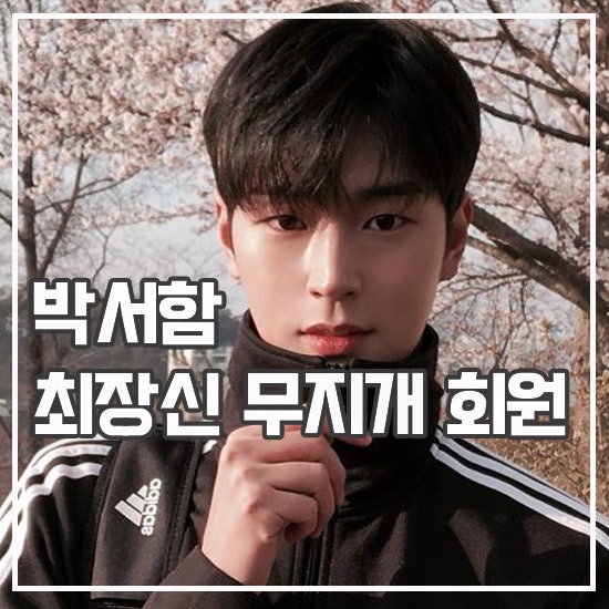 나혼자산다 <b>박서함</b> 프로필 시맨틱에러 출연 MBC 예능