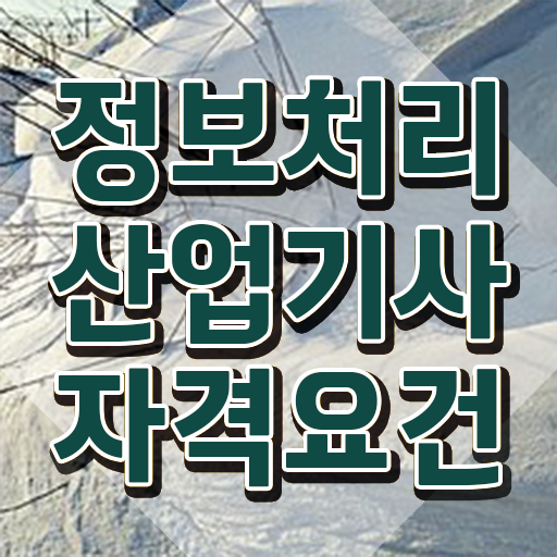  정보처리산업기사 필기 합격  정보처리산업기사  필수 정보 쏙쏙