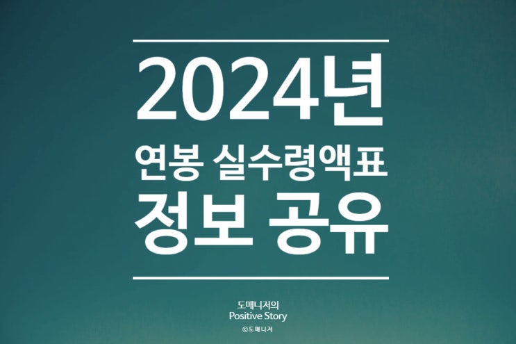  2024년 연봉 실수령액 및 4대 보험비를 표로 알아보자!