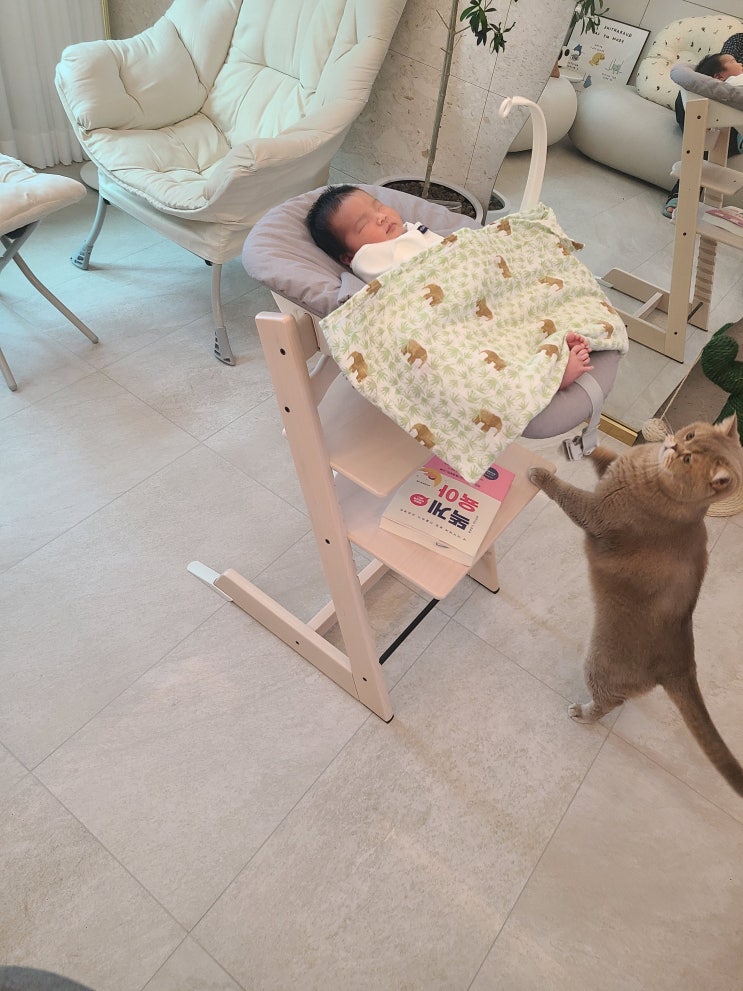  아빠 육아일기 쓰는 이유 [용띠 파파]