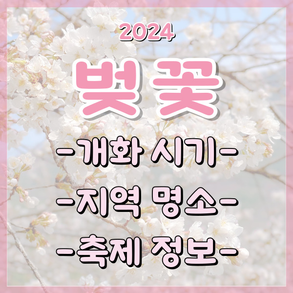  2024 벚꽃 개화시기 만개 전국 명소 축제 꽃말 총정리