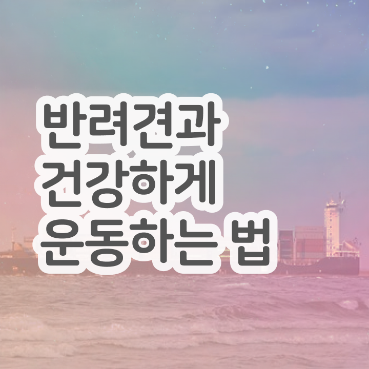  반려견운동지도사 무료 교육  반려견운동지도사  추천