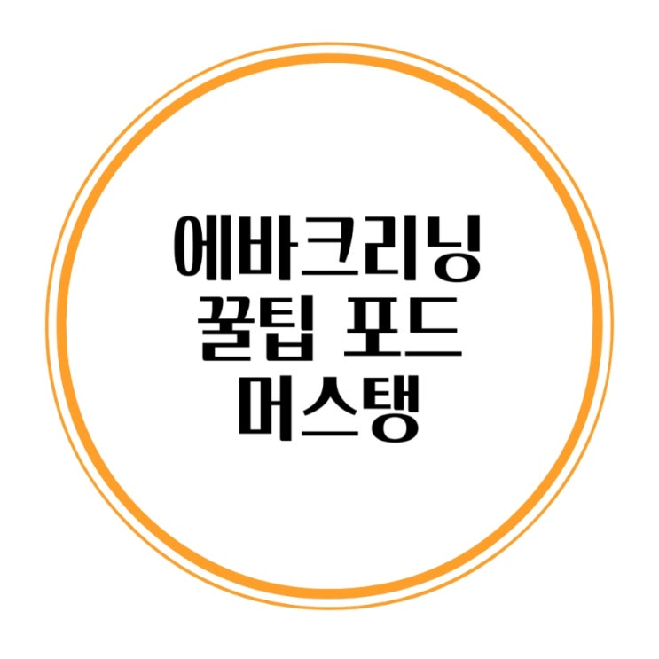  에바크리닝 업체선정꿀팁 포드 머스탱GT