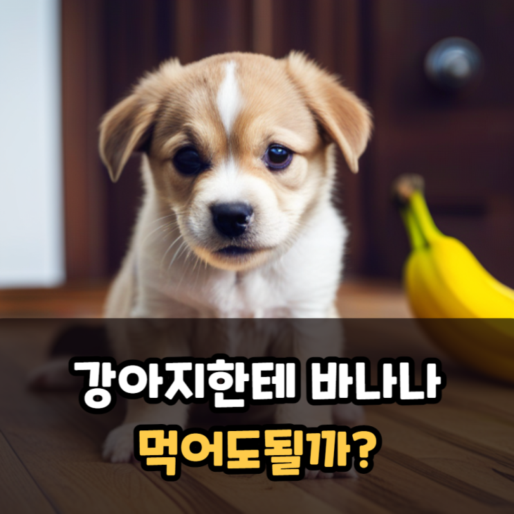  강아지한테 바나나 먹어도 될까? 영양성분의 장점과 주의사항