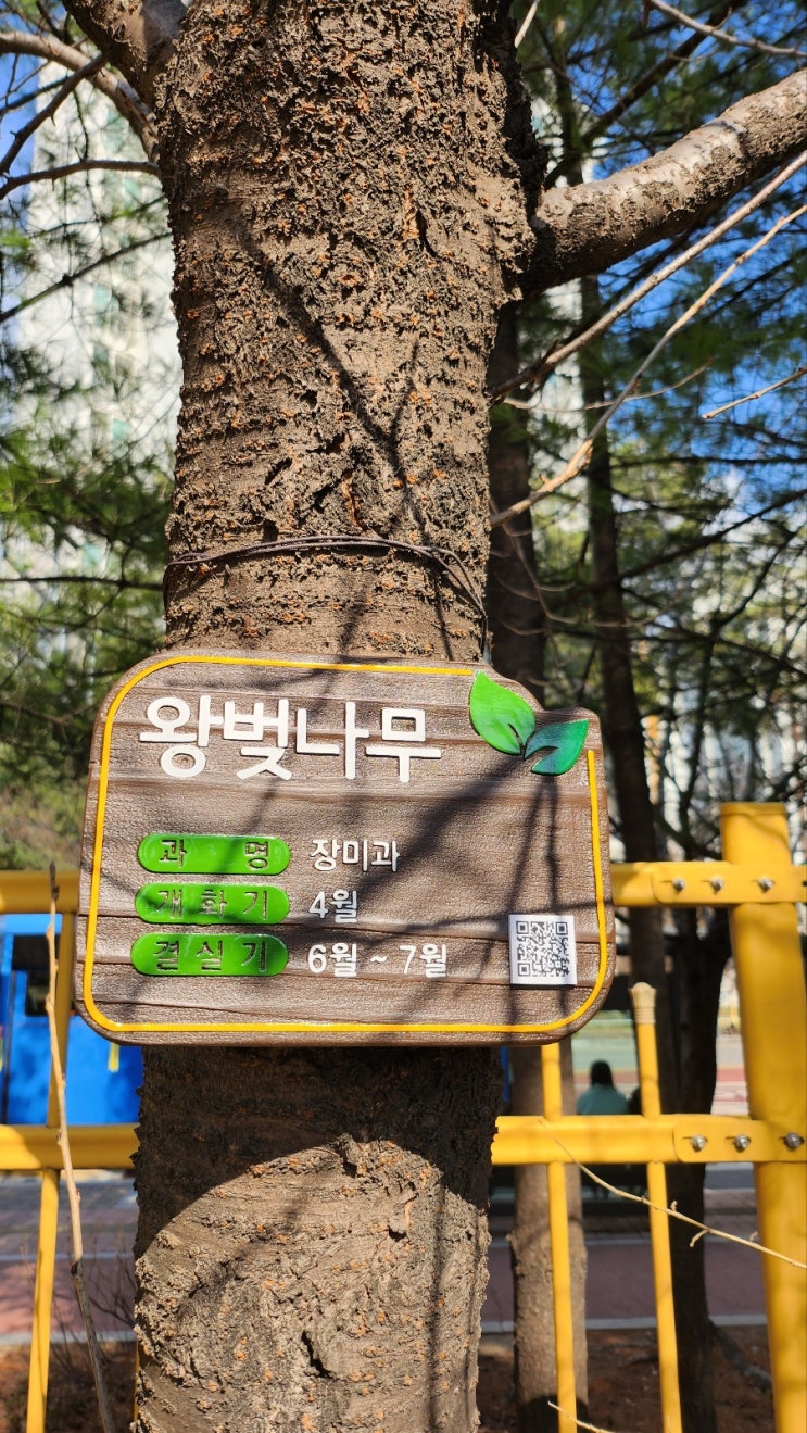  봄맞이 초등학교 수목표찰 시공하고 왔어요~