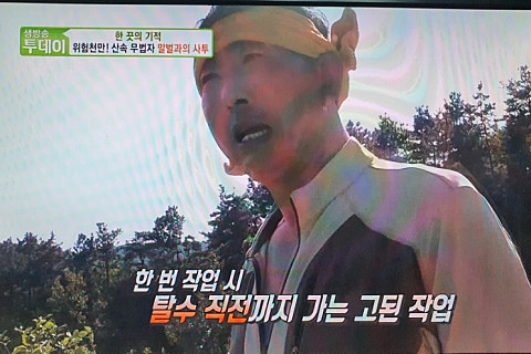 장생산약초 이미지