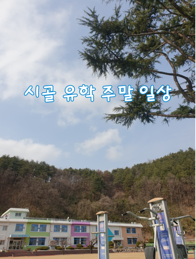  강원도 농촌유학, 시골유학 주말 일상 (ft.주말에도 학교 발도장 찍는 아이들)