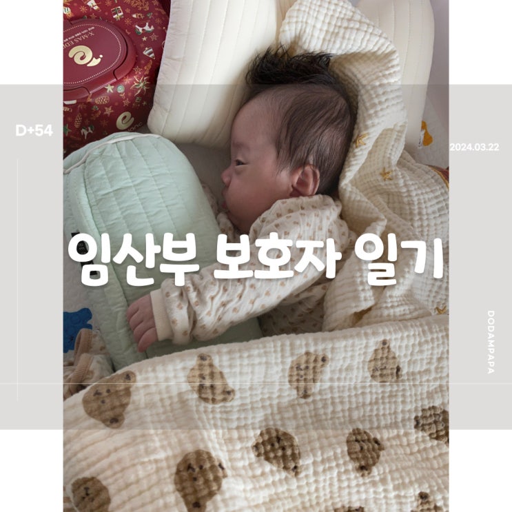 2024.03.22 임산부 보호자 일기 D+54일 2024.03.22 임산부 보호자 일기 D+54일