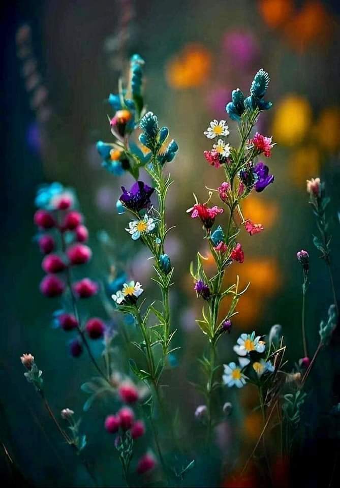   오늘의 생활정보 (2024-03-22, 금)
