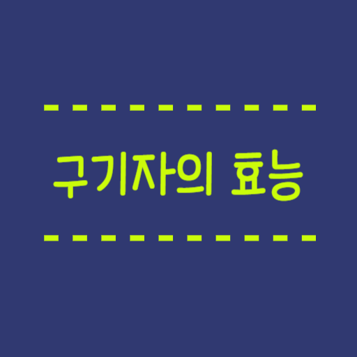  구기자의 효능 전통적으로 효과가 좋은 보약의 하나