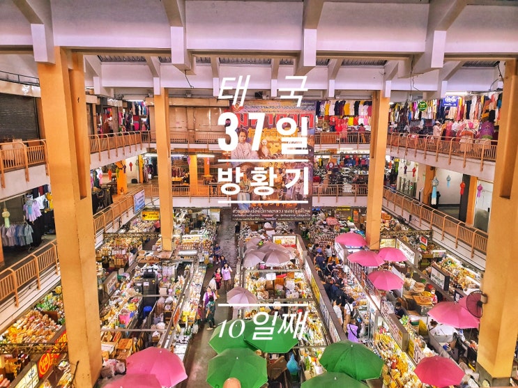  [태국 37일간의 방황기]10일째 Shark's shake Pad Thai 5 Rod 와로롯 마켓 반피엠숙 카페 왓 께 까람 산빠커이 시장 선데이 마켓