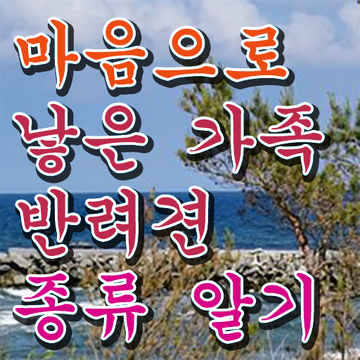  반려동물관리사2급  반려동물관리사  여기서 확인하세요
