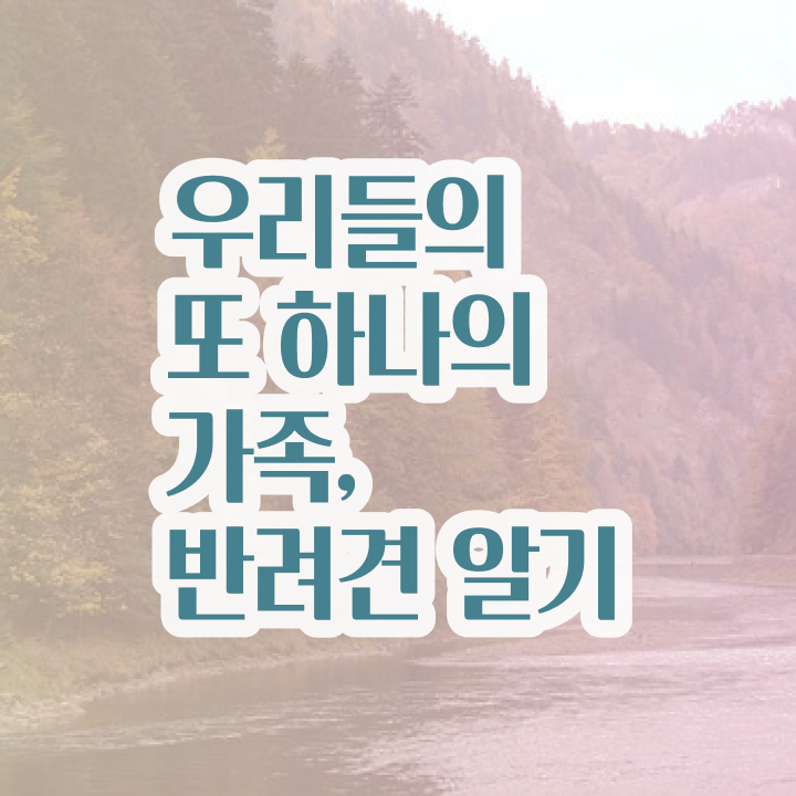 반려동물학과  인기글 반려동물관리사  합격 비법