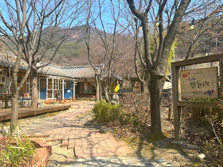  충주댐 벚꽃길 근처 카페 겸 한식당 민들레 방문 후기(애견동반 가능)