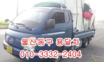 울산동구용달 방어진 정자 울릉도 제주도 산하동 주전 양남. 울산동구용달 방어진 정자 울릉도 제주도 산하동 주전 양남.