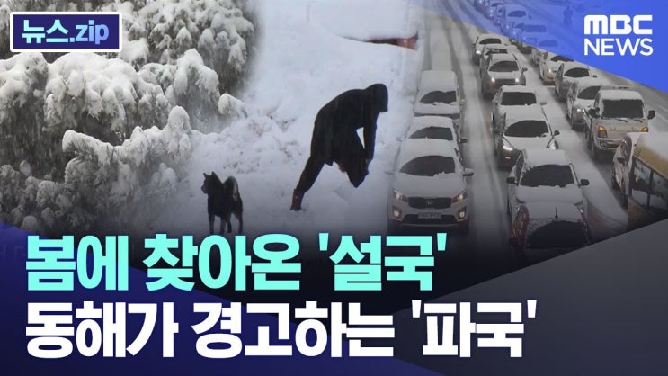 봄에 찾아온 '설국'..동해가 경고하는 '파국' 봄에 찾아온 '설국'..동해가 경고하는 '파국'