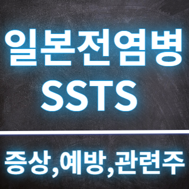  일본 전염병 STSS 연쇄상구균 독성쇼크 증후군 증상 및 예방방법, 관련주
