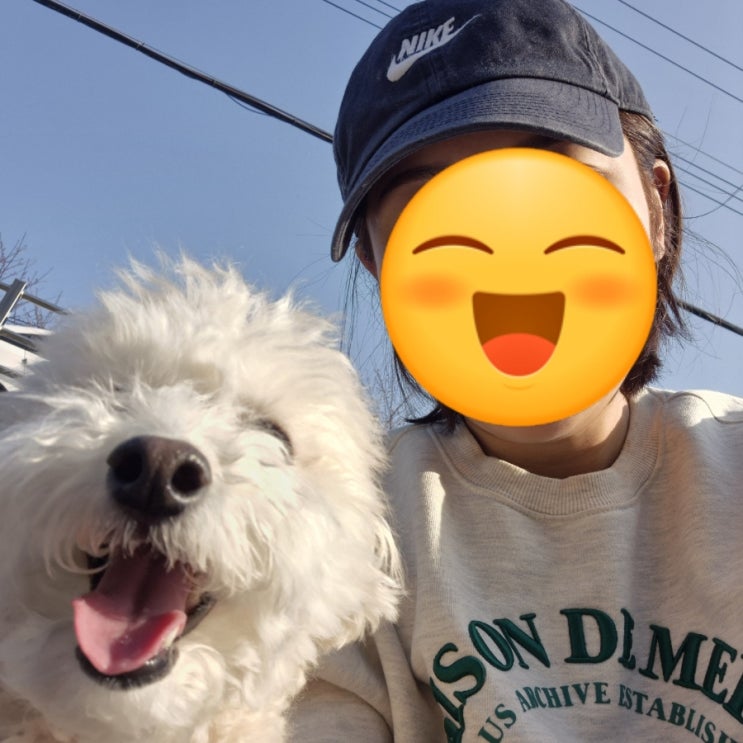  안녕하세요 이웃 관련 공지 처음 올려보네요.