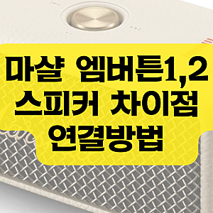 마샬 엠버튼1 엠버튼2 스피커 차이점 및 연결방법