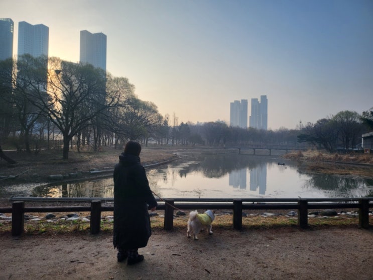국제 강아지의 날 맞이, 서울숲 산책 가기
