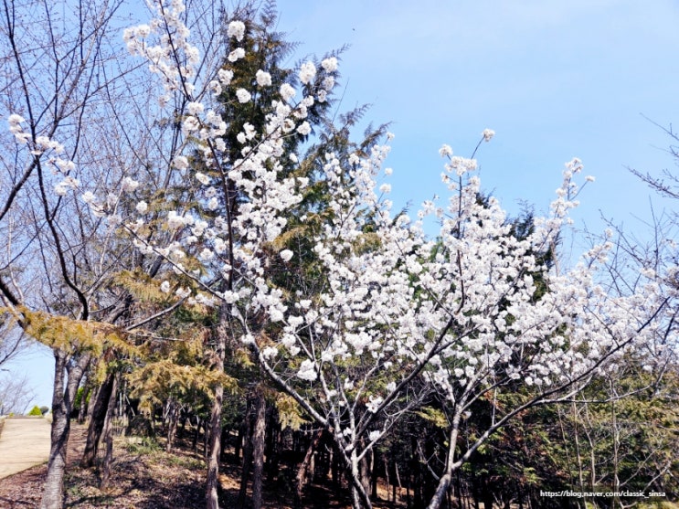  서로이웃에 대한 마음 댓글 교류