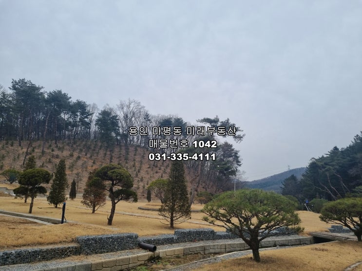  투자 및 기업 연수원 or 캠핑장 or 주택부지 or 수목장 or 대형 카페or 종교단체 양지면 송문리 대형 평수 토지 매매