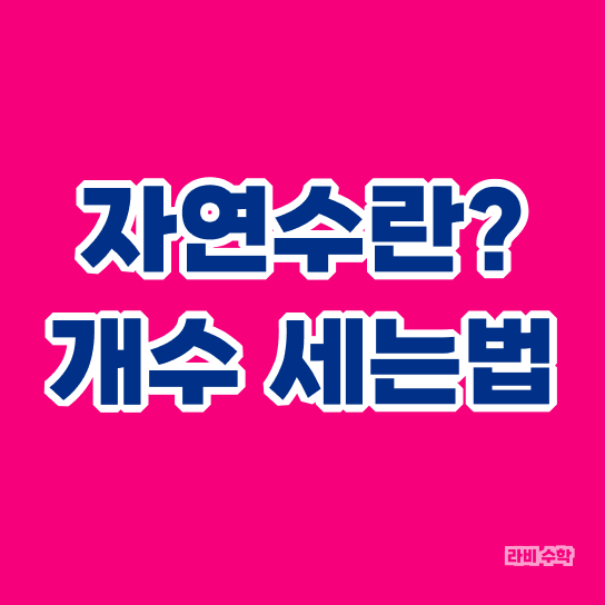  자연수 개념과 개수 구하기, 고등도 헷갈려하는 초등 수학
