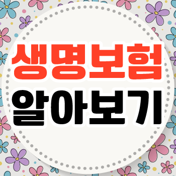  생명보험추천 효율적으로 받아봅시다