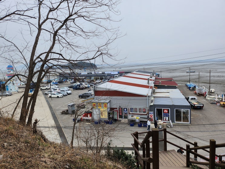  인천 산책코스  추천 예단포둘레길 영종도 갈만한곳