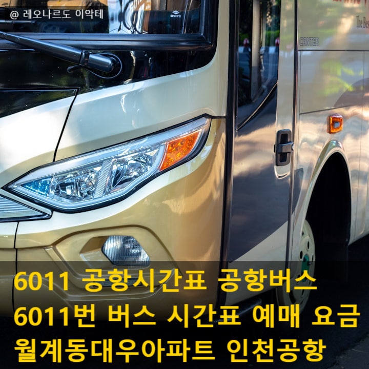 6011번버스 요금 6011 공항시간표 공항버스 시간표 예매 월계동대우아파트 인천공항