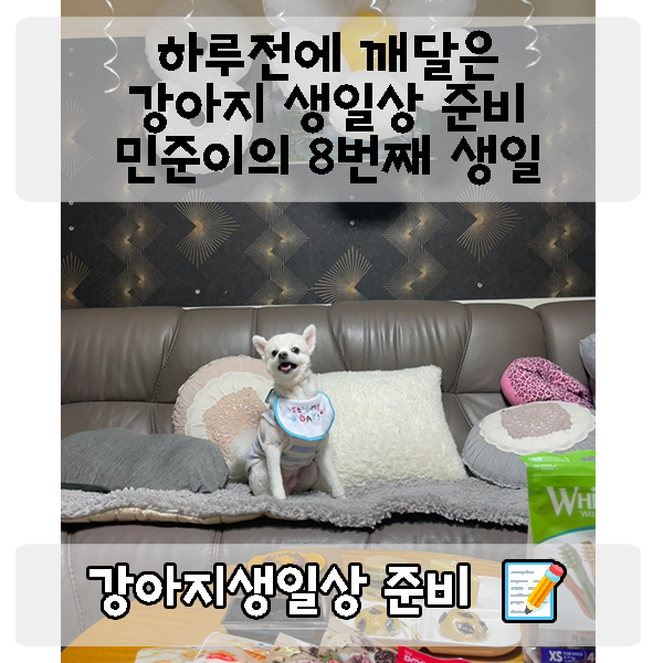  하루전에 깨달은 강아지 생일상 준비 / 다음날 받는 강아지 케이크 / 집에서 하는 강아지 생일파티