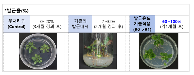 농촌진흥청, 배나무 유전자원 초저온동결보존기술 개발 농촌진흥청, 배나무 유전자원 초저온동결보존기술 개발
