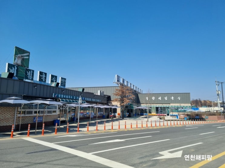  연천 맛집 망향비빔국수 본점 5사단 신병교육대